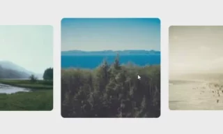 CSS Only: Create Stunning Image Hover Effects in Minutes